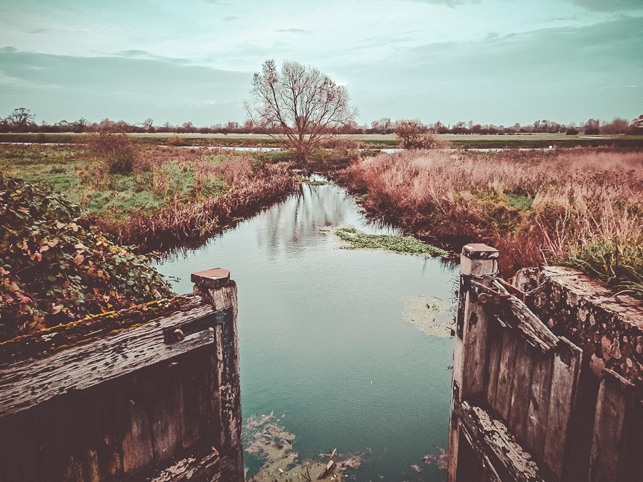Fen Drayton stream