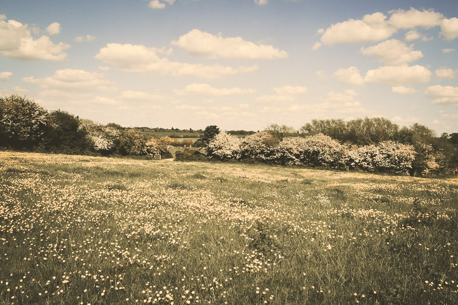 walks in Cambridge Grantchester Meadows