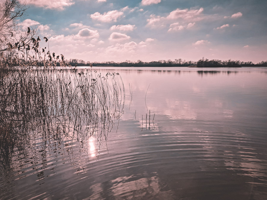 Fen Drayton Lakes, walk in Cambridge
