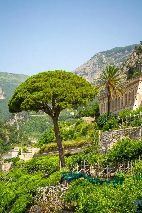 amalfi hillside