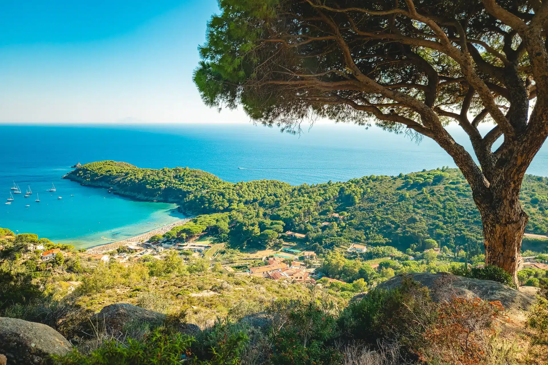 fetovaia beach elba