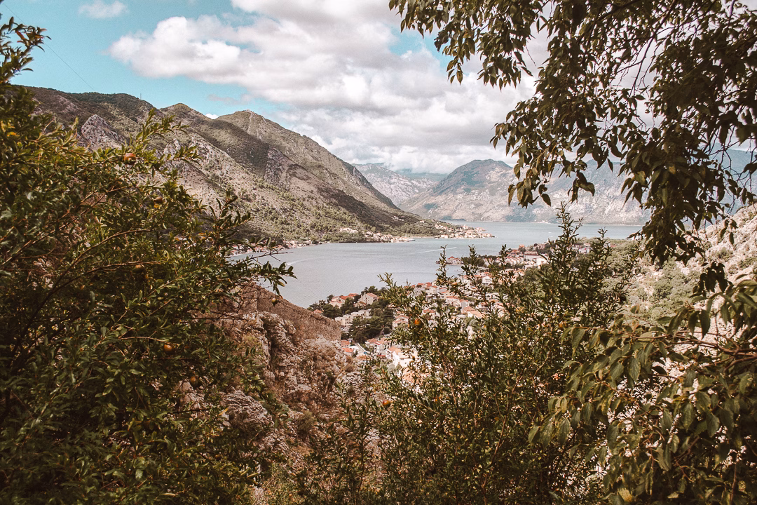 kotor bay view