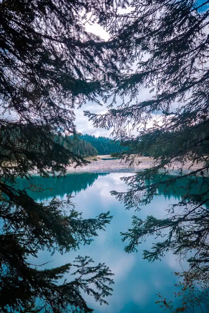 Black Lake, framed by trees