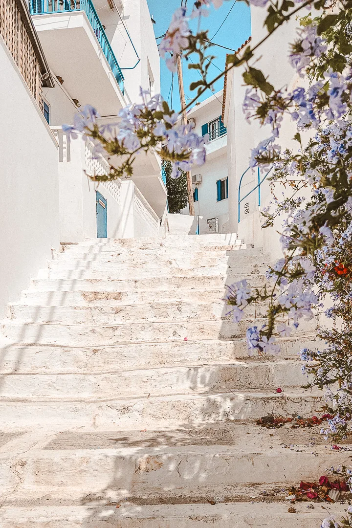 stairs batsi with flowers in foreground