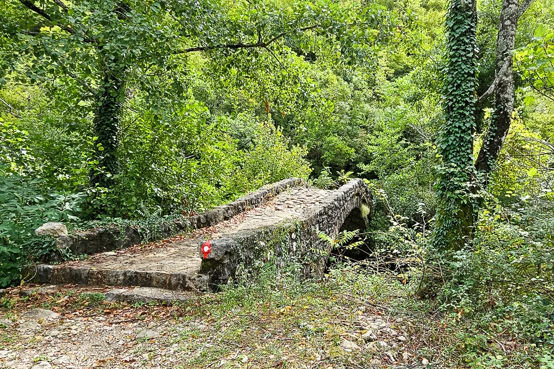 stone bridge in woods, Montenegro