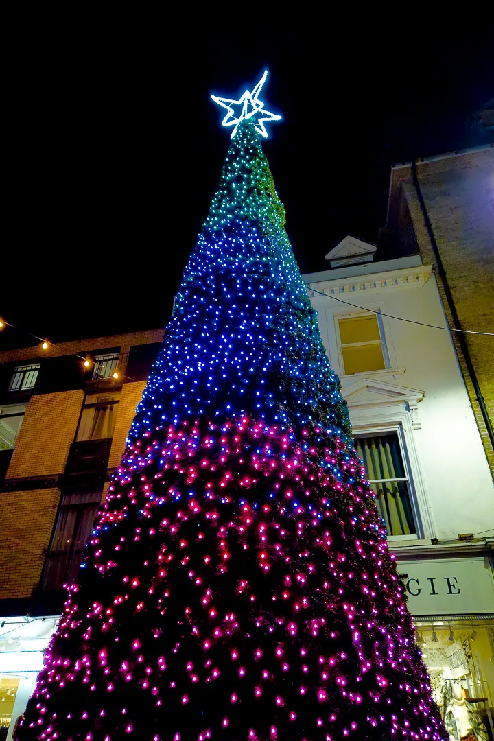 cambridge chirstmas tree